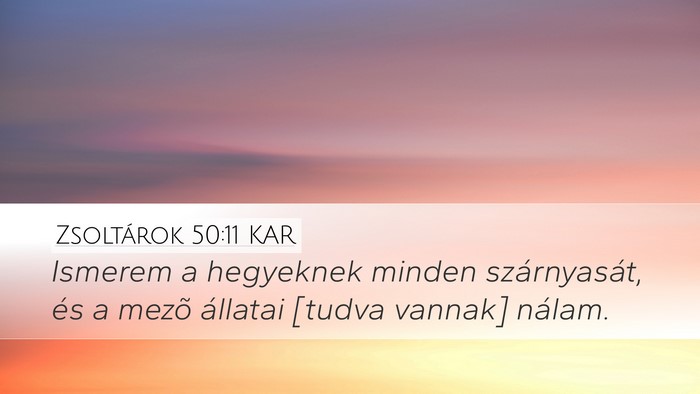 Zsoltárok 50:11 KAR Desktop Wallpaper - Ismerem a hegyeknek minden szárnyasát, és a - Desktop Bible Verse Wallpaper