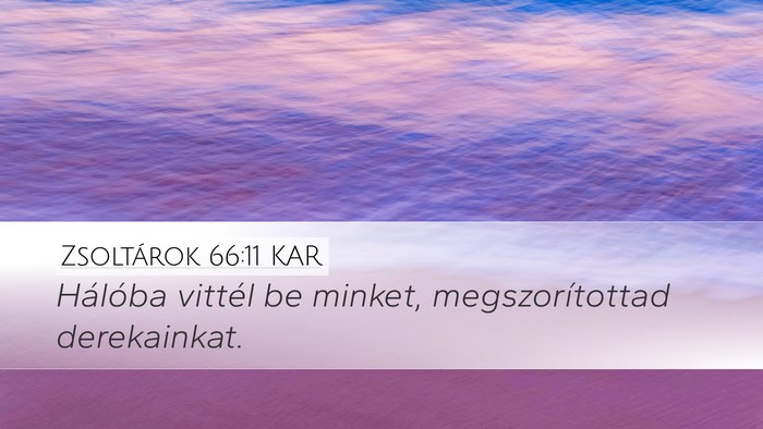 Zsoltárok 66:11 KAR Bible Verse Image
