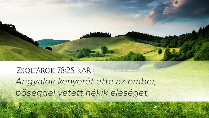 Zsoltárok 78:25 KAR Bible Verse Image