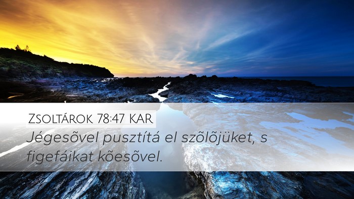Zsoltárok 78:47 KAR Desktop Wallpaper - Jégesõvel pusztítá el szõlõjüket, s - Desktop Bible Verse Wallpaper