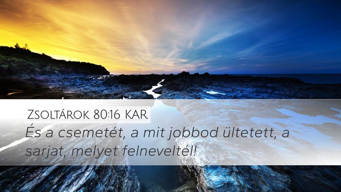 Zsoltárok 80:16 KAR Bible Verse Image
