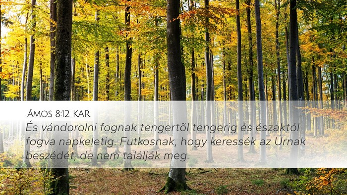 Ámos 8:12 KAR Bible Verse Image