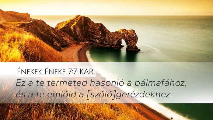 Énekek Éneke 7:7 KAR Desktop Wallpaper - Ez a te termeted hasonló a pálmafához, és a - Desktop Bible Verse Wallpaper
