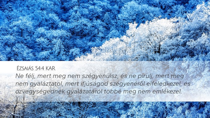 Ézsaiás 54:4 KAR Bible Verse Image