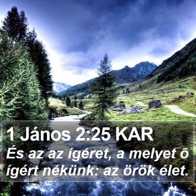 1 János 2:25 KAR Bible Verse Image
