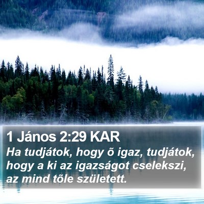 1 János 2:29 KAR Bible Verse Image