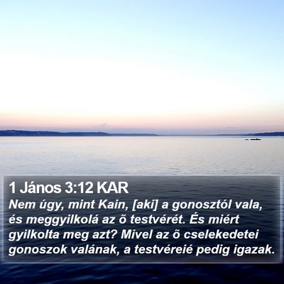 1 János 3:12 KAR Bible Verse Image