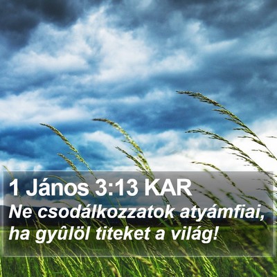 1 János 3:13 KAR Bible Verse Image