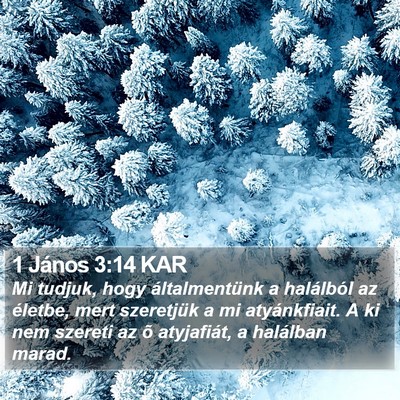 1 János 3:14 KAR Bible Verse Image