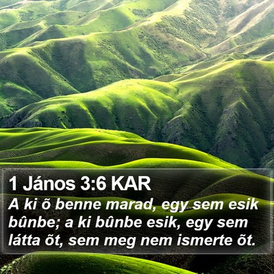 1 János 3:6 KAR Bible Verse Image