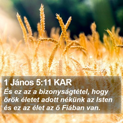 1 János 5:11 KAR Bible Verse Image