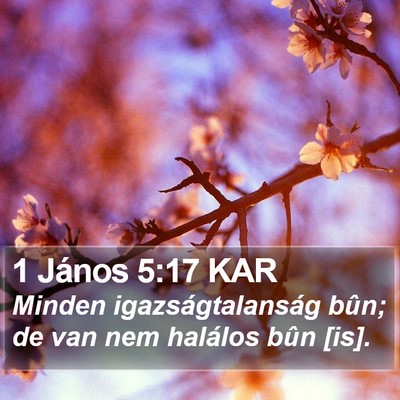 1 János 5:17 KAR Bible Verse Image