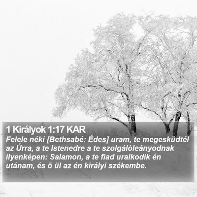 1 Királyok 1:17 KAR Bible Verse Image