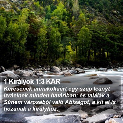 1 Királyok 1:3 KAR Bible Verse Image