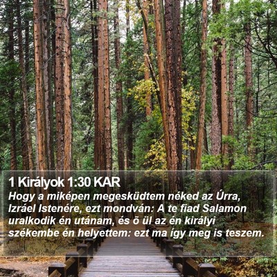 1 Királyok 1:30 KAR Bible Verse Image