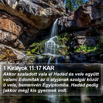 1 Királyok 11:17 KAR Bible Verse Image