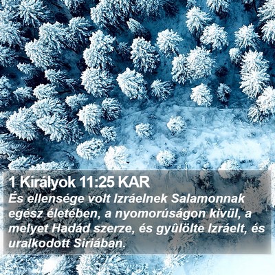 1 Királyok 11:25 KAR Bible Verse Image