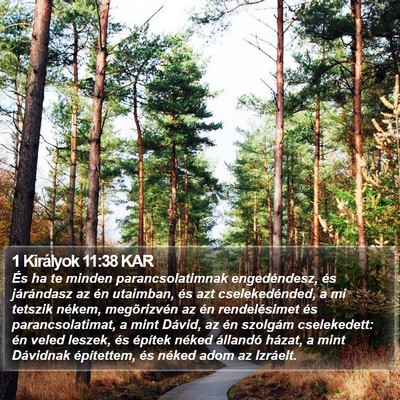 1 Királyok 11:38 KAR Bible Verse Image