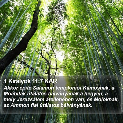 1 Királyok 11:7 KAR Bible Verse Image