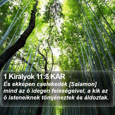 1 Királyok 11:8 KAR Bible Verse Image