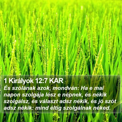 1 Királyok 12:7 KAR Bible Verse Image