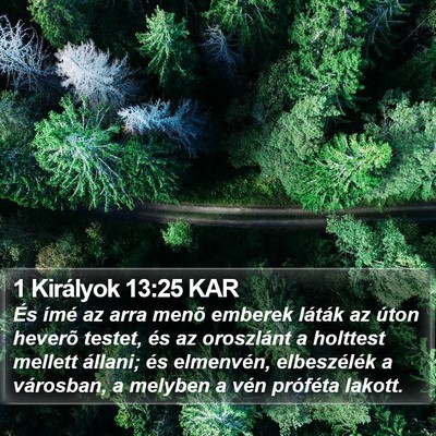 1 Királyok 13:25 KAR Bible Verse Image