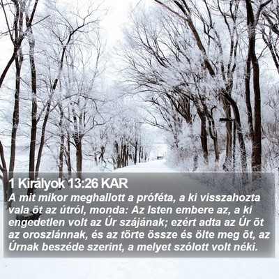 1 Királyok 13:26 KAR Bible Verse Image