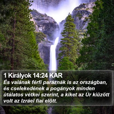 1 Királyok 14:24 KAR Bible Verse Image