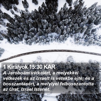 1 Királyok 15:30 KAR Bible Verse Image