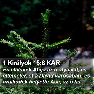 1 Királyok 15:8 KAR Bible Verse Image