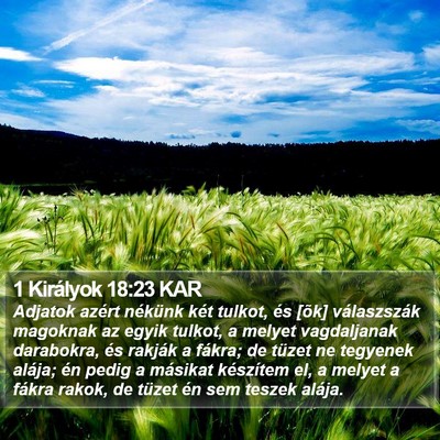 1 Királyok 18:23 KAR Bible Verse Image