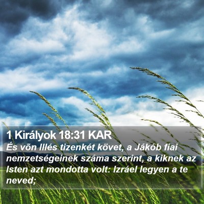 1 Királyok 18:31 KAR Bible Verse Image