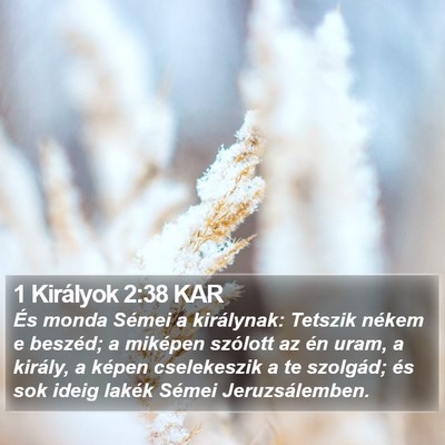 1 Királyok 2:38 KAR Bible Verse Image