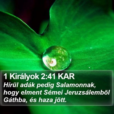 1 Királyok 2:41 KAR Bible Verse Image