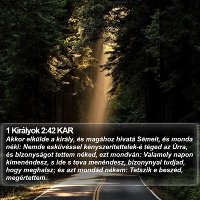 1 Királyok 2:42 KAR Bible Verse Image