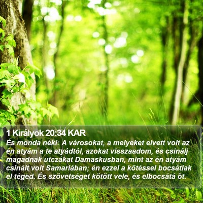 1 Királyok 20:34 KAR Bible Verse Image