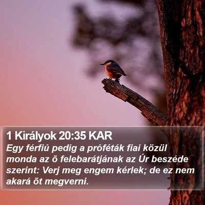 1 Királyok 20:35 KAR Bible Verse Image
