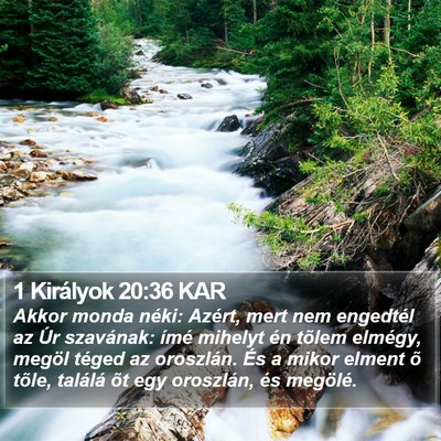 1 Királyok 20:36 KAR Bible Verse Image