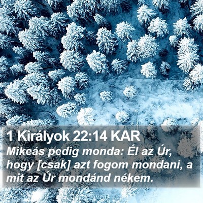 1 Királyok 22:14 KAR Bible Verse Image