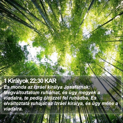 1 Királyok 22:30 KAR Bible Verse Image
