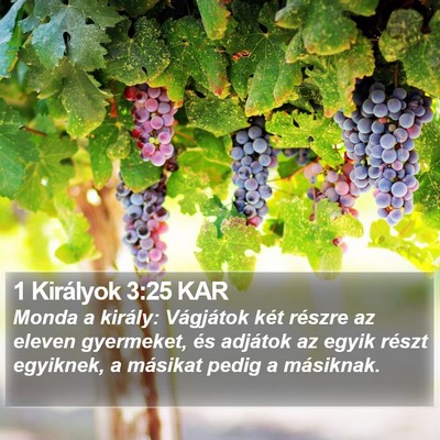 1 Királyok 3:25 KAR Bible Verse Image