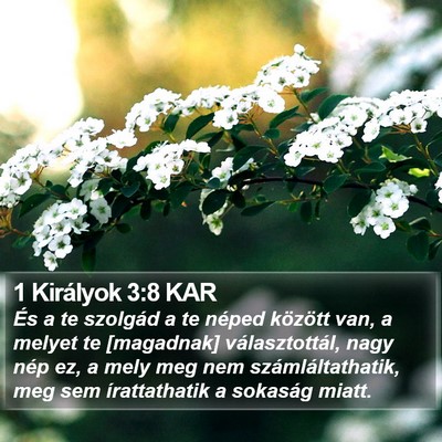 1 Királyok 3:8 KAR Bible Verse Image