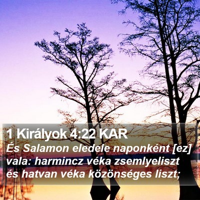 1 Királyok 4:22 KAR Bible Verse Image