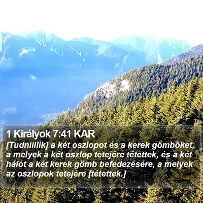 1 Királyok 7:41 KAR Bible Verse Image