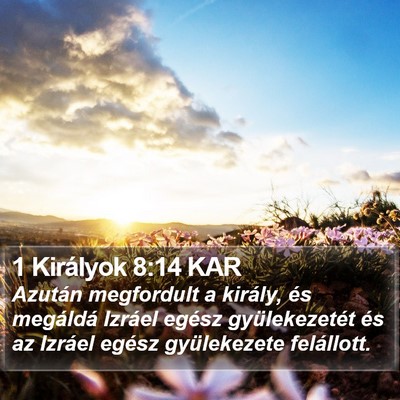 1 Királyok 8:14 KAR Bible Verse Image