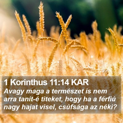 1 Korinthus 11:14 KAR Bible Verse Image