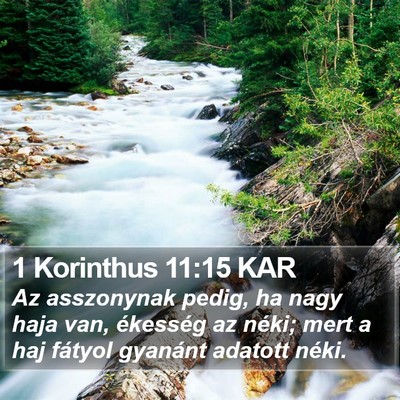 1 Korinthus 11:15 KAR Bible Verse Image