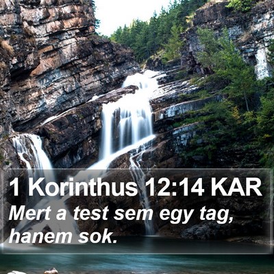 1 Korinthus 12:14 KAR Bible Verse Image