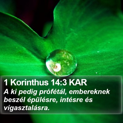 1 Korinthus 14:3 KAR Bible Verse Image