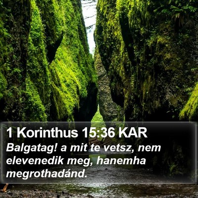 1 Korinthus 15:36 KAR Bible Verse Image